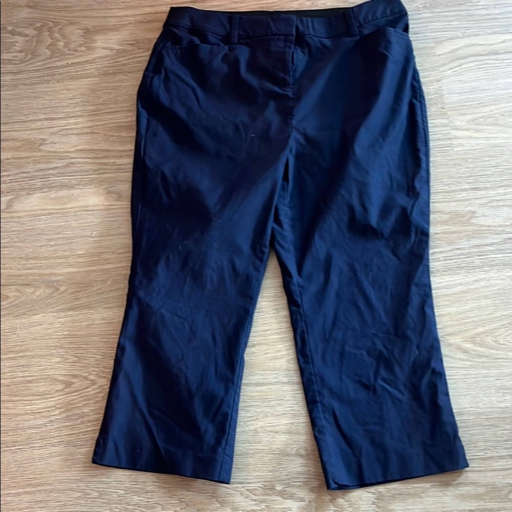 Lane Bryant Navy Pants